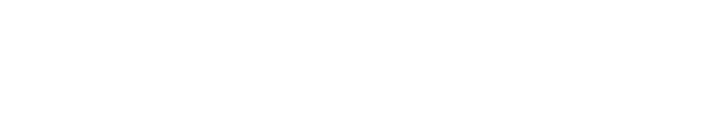Partner 8